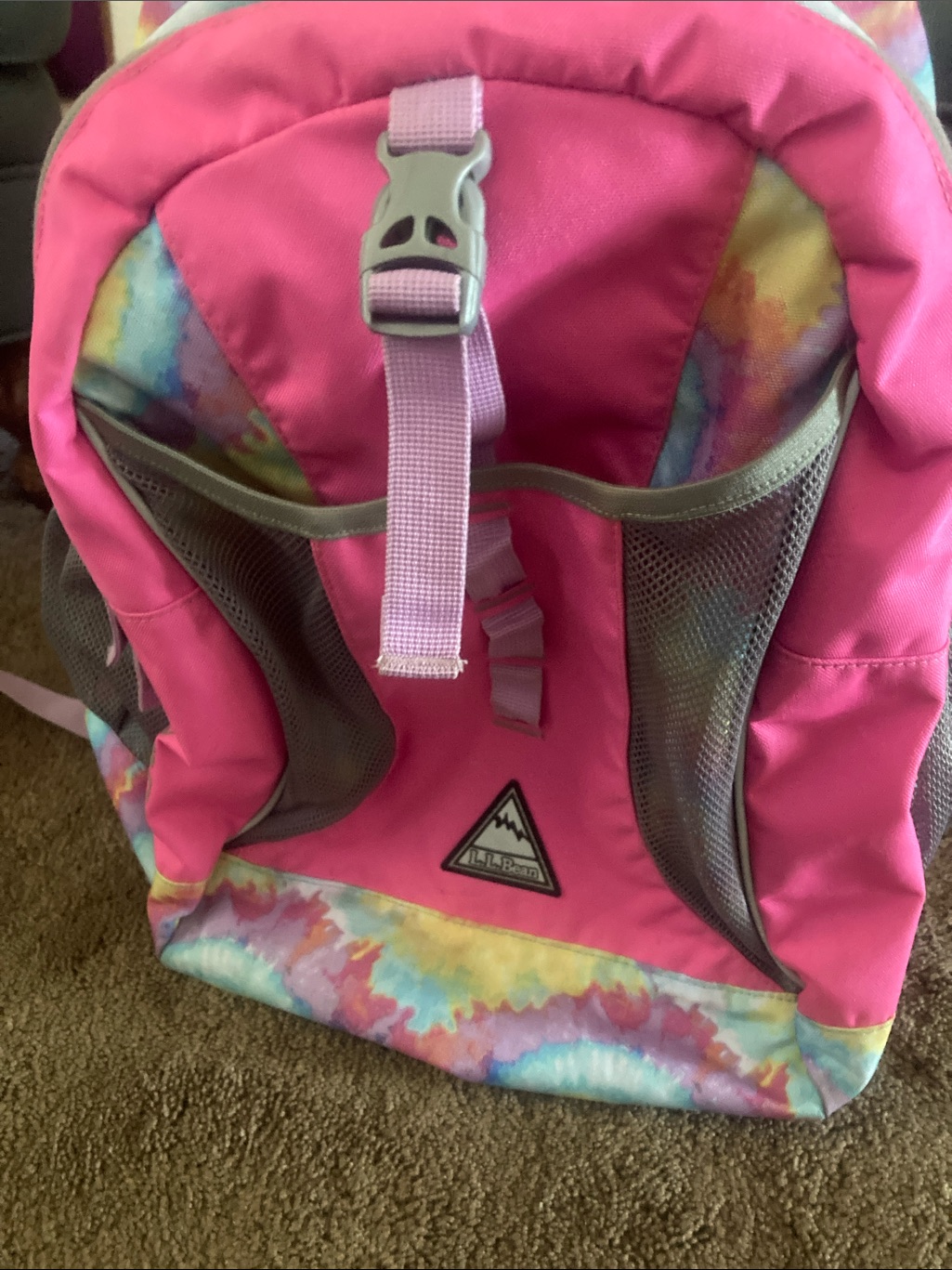 Ll Bean Backpack Explorer